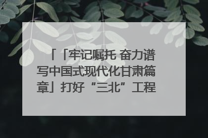 「牢记嘱托 奋力谱写中国式现代化甘肃篇章」打好“三北”工程攻坚战 筑牢国家西部生态安全屏障
