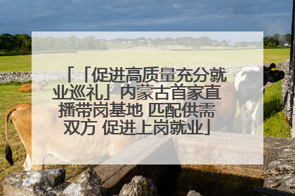 「促进高质量充分就业巡礼」内蒙古首家直播带岗基地 匹配供需双方 促进上岗就业