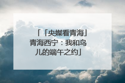 「央媒看青海」青海西宁：我和鸟儿的端午之约