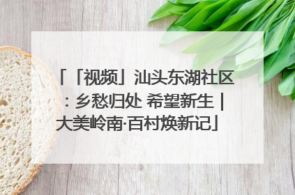 「视频」汕头东湖社区：乡愁归处 希望新生｜大美岭南·百村焕新记