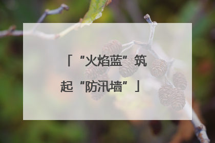 “火焰蓝”筑起“防汛墙”