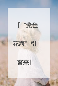 “紫色花海”引客来