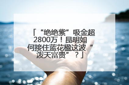 “绝绝紫”吸金超2800万！昆明如何接住蓝花楹这波“泼天富贵”？