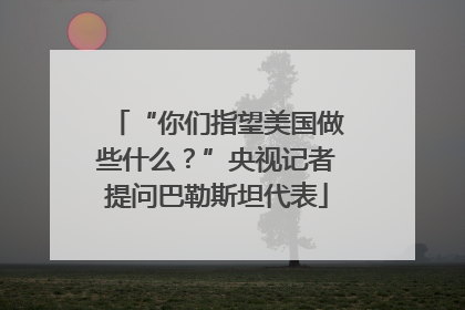 “你们指望美国做些什么？”央视记者提问巴勒斯坦代表