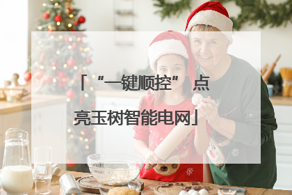 “一键顺控” 点亮玉树智能电网