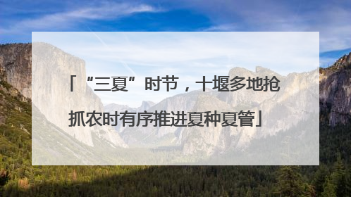 “三夏”时节，十堰多地抢抓农时有序推进夏种夏管