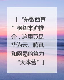 “东数西算”枢纽来沪推介，这里竟是华为云、腾讯和网易的算力“大本营”