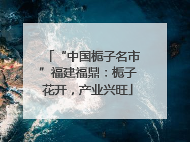 “中国栀子名市”福建福鼎：栀子花开，产业兴旺
