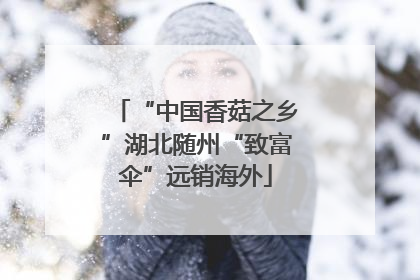 “中国香菇之乡”湖北随州“致富伞”远销海外