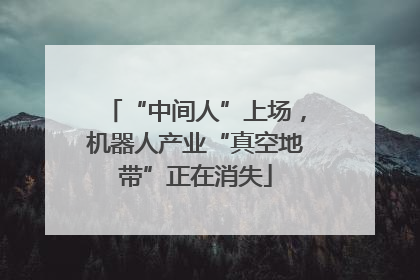 “中间人”上场，机器人产业“真空地带”正在消失