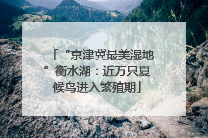 “京津冀最美湿地”衡水湖：近万只夏候鸟进入繁殖期
