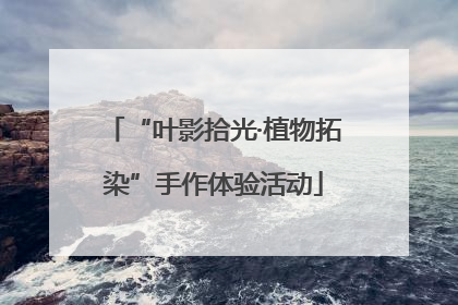 “叶影拾光·植物拓染”手作体验活动