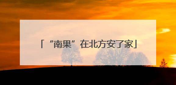 “南果”在北方安了家