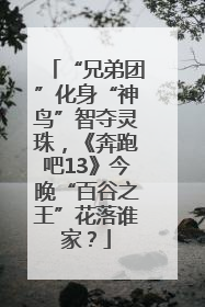 “兄弟团”化身“神鸟”智夺灵珠，《奔跑吧13》今晚“百谷之王”花落谁家？