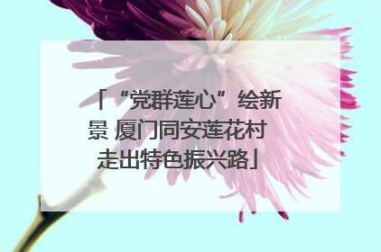 “党群莲心”绘新景 厦门同安莲花村走出特色振兴路