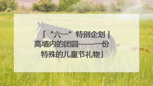 “六一”特别企划｜高墙内的团圆——一份特殊的儿童节礼物