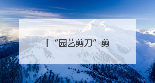 “园艺剪刀”剪出幸福枝桠，先贤苑片区工会小组携手扮靓家园