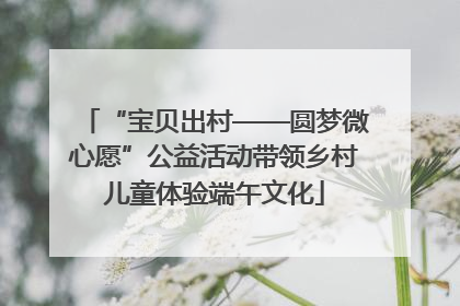 “宝贝出村——圆梦微心愿”公益活动带领乡村儿童体验端午文化