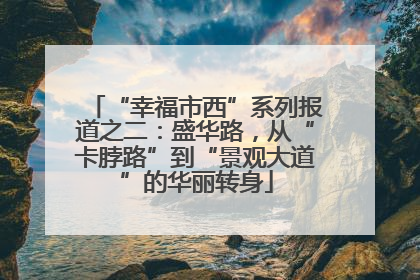 “幸福市西”系列报道之二：盛华路，从“卡脖路”到“景观大道”的华丽转身