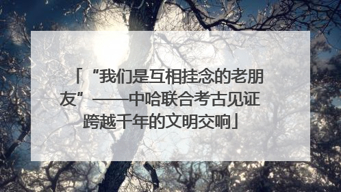 “我们是互相挂念的老朋友”——中哈联合考古见证跨越千年的文明交响
