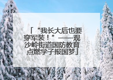 “我长大后也要穿军装！”——观沙岭街道国防教育点燃学子报国梦
