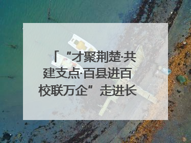 “才聚荆楚·共建支点·百县进百校联万企”走进长江大学文理学院