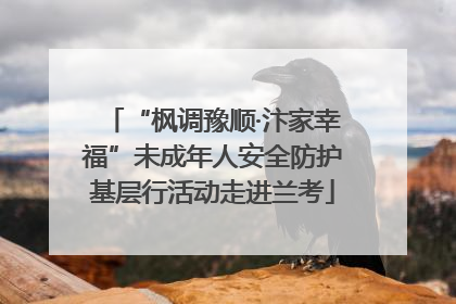 “枫调豫顺·汴家幸福”未成年人安全防护基层行活动走进兰考