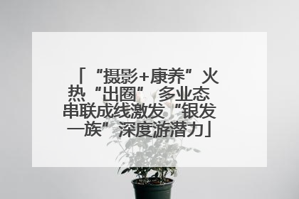 “摄影+康养”火热“出圈” 多业态串联成线激发“银发一族”深度游潜力
