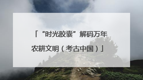 “时光胶囊”解码万年农耕文明（考古中国）