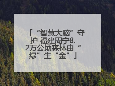 “智慧大脑”守护 福建周宁8.2万公顷森林由“绿”生“金”