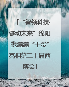 “智领科技·链动未来”绵阳携满满“干货”亮相第二十届西博会