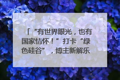 “有世界眼光，也有国家情怀！”打卡“绿色硅谷”，博主新解乐山｜网络名人四川行