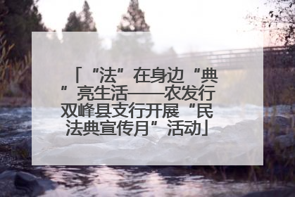 “法”在身边“典”亮生活——农发行双峰县支行开展“民法典宣传月”活动