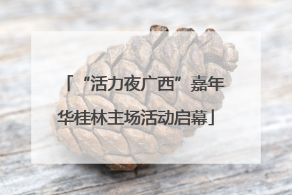 “活力夜广西”嘉年华桂林主场活动启幕