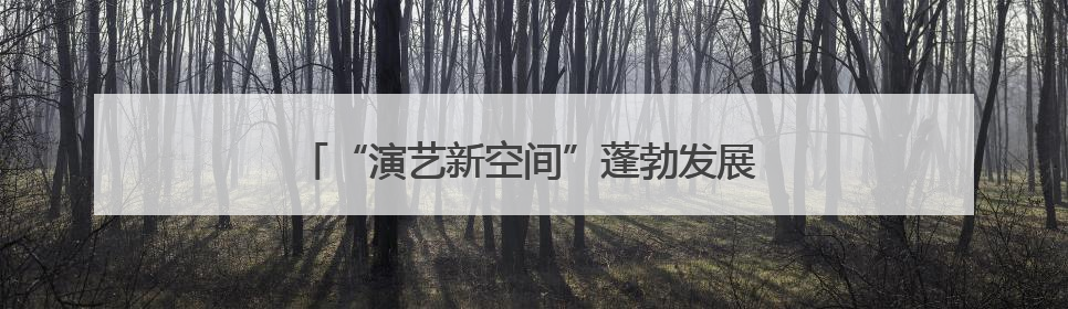 “演艺新空间”蓬勃发展 赋能首都文化消费新场景