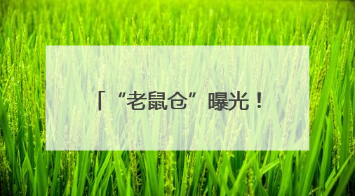 “老鼠仓”曝光！中信证券前员工偷看私募大佬持仓，获利213万，被罚没超426万