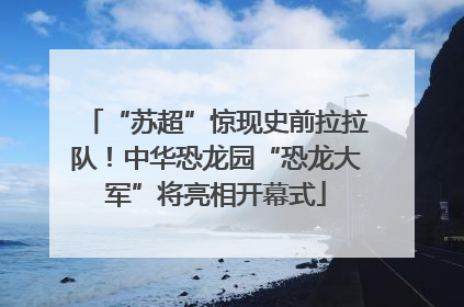 “苏超”惊现史前拉拉队！中华恐龙园“恐龙大军”将亮相开幕式