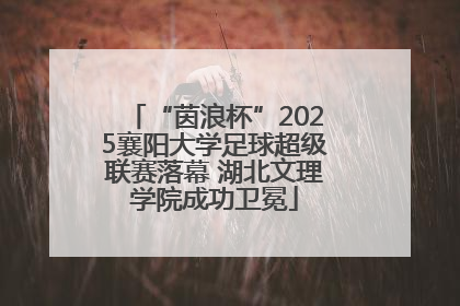 “茵浪杯”2025襄阳大学足球超级联赛落幕 湖北文理学院成功卫冕