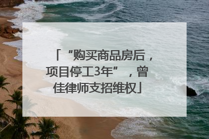 “购买商品房后，项目停工3年”，曾佳律师支招维权