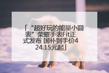 “超好玩的能量小圆表”荣耀手表Fit正式发布 国补到手价424.15元起