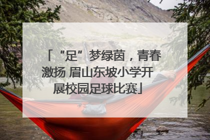 “足”梦绿茵，青春激扬 眉山东坡小学开展校园足球比赛
