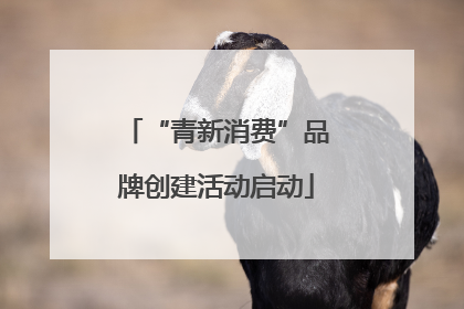 “青新消费”品牌创建活动启动