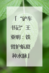 “铲车书记”王亚明：铁臂护航夏种水脉