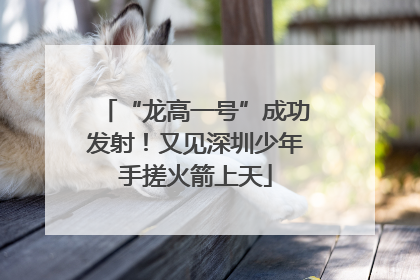 “龙高一号”成功发射！又见深圳少年手搓火箭上天
