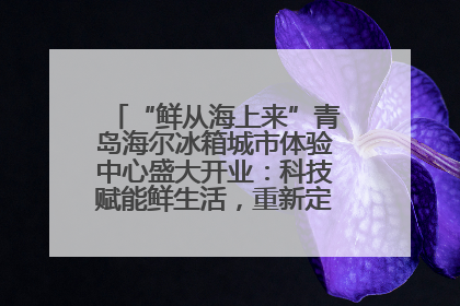 “鲜从海上来”青岛海尔冰箱城市体验中心盛大开业：科技赋能鲜生活，重新定义全球饮食未来