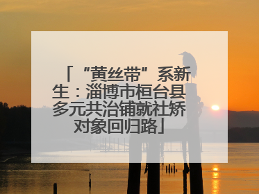 “黄丝带”系新生：淄博市桓台县多元共治铺就社矫对象回归路