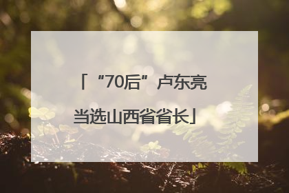 “70后”卢东亮当选山西省省长