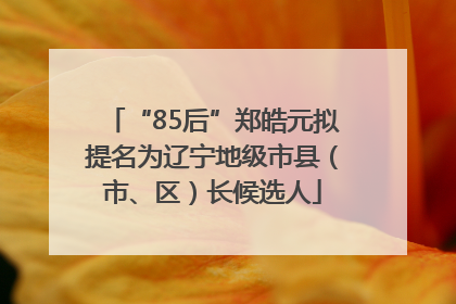“85后”郑皓元拟提名为辽宁地级市县（市、区）长候选人