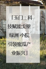 玉门：科技赋能戈壁绿洲 小院引领蜜瓜产业振兴