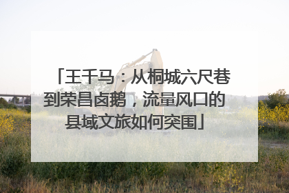 王千马：从桐城六尺巷到荣昌卤鹅，流量风口的县域文旅如何突围